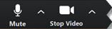 A section of the Zoom toolbar, showing the Mute and Stop Video options.