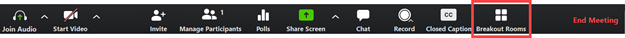 Screenshot of the menu that appears at the bottom of the screen in Zoom, with a red rectangle calling out the Breakout Rooms button.